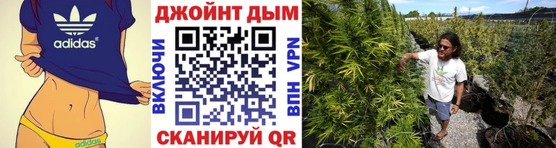 Где можно купить наркотики Фролово МАРИХУАНА кракен ссылки APVP Галлюциногенные грибы Меф мяу мяу Кокаин