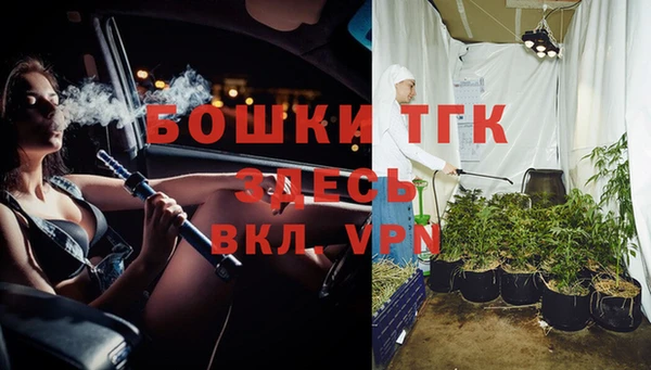 соль ск Алзамай